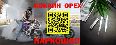 прущие грибы Будённовск