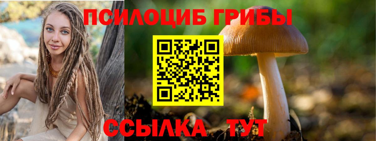 Псилоцибиновые грибы мицелий  Вход с VPN  Людиново  Галлюциногенные грибы ЛСД 